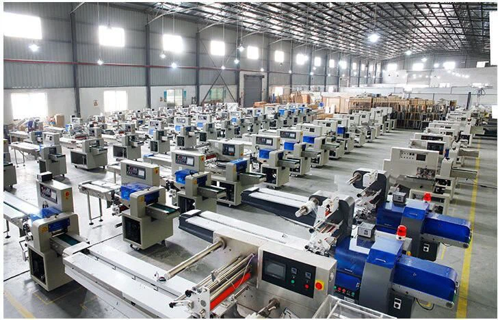 pillow type packing machine 7