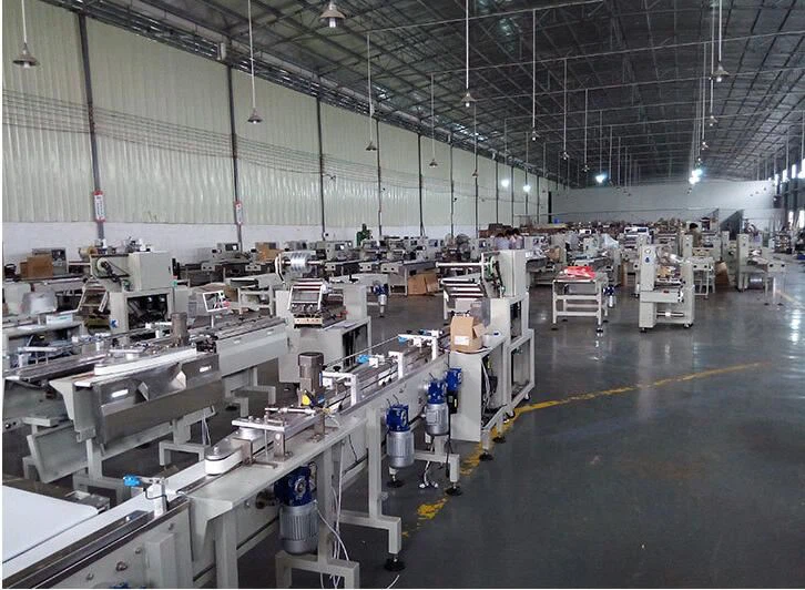 pillow type packing machine8