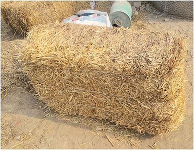 pellets from straw