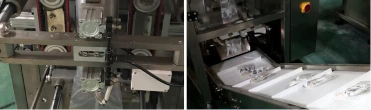 detergent washing powder packing machine2